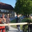 Maibaum 2026