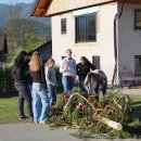 Maibaum 2026