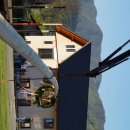 Maibaum 2026